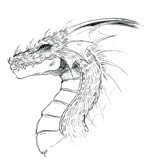dragons head drawing  getdrawings