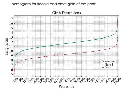 Scientists Measure 15 000 Erect Penises Determine Average Size News