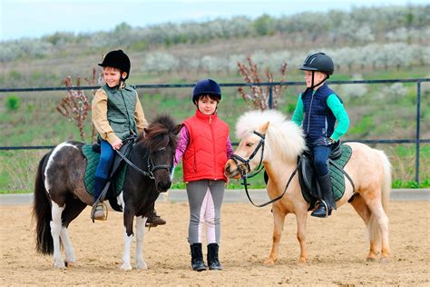 horse riding  madrid lae kids spanish  kids
