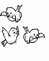Coloring Birds Pages Bird Cute Printable Kids Getcoloringpages Print sketch template