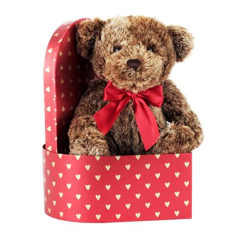 celebrate chocolate scented plush teddy bear  gift box brown