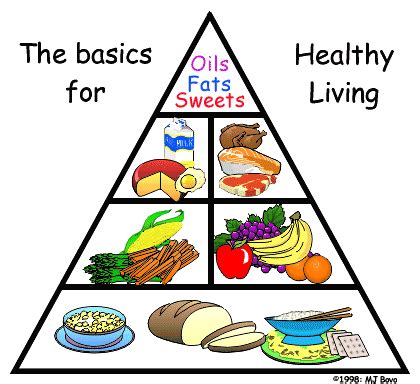 bloggest loser  food groups  myplate