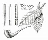 Tobacco Aktivisten Wissenschafts Politische sketch template