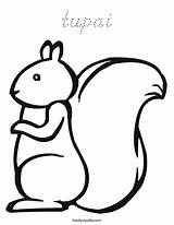 Squirrel Coloring Squirrels Preschool Nuts Gather Crafts Activities Twistynoodle Pages Tupai Kids Fall Autumn Funny Toddler Noodle Board Printable Drawing sketch template