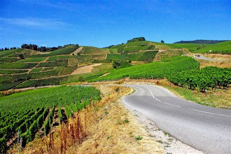 discover  scenic alsace wine route french moments