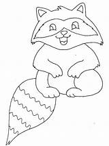 Coloring Raccoon Baby Laugh Netart Printable Print Library Color Popular sketch template