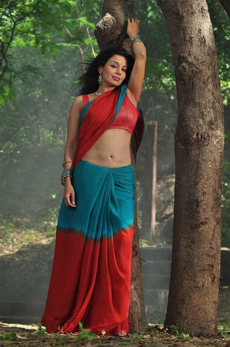Asha Shaini Hot Saree Photos Actress Saree Photos Saree