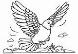 Burung Pigeon Mewarnai Duiven Merpati Kleurplaten Pigeons Dara Tauben Duif Malvorlagen Kleurplaat Coloriages Animaatjes Terbang Piccioni Paud Sketsa Taube Piccione sketch template