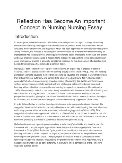 reflection    important concept  nursing nursing essay