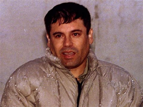 rise  mexican drug lord el chapo business insider