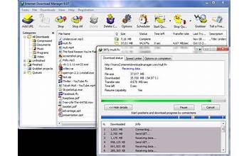 Free Download Manager screenshot #4