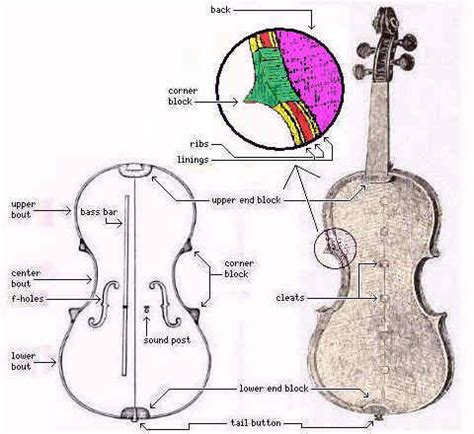 parts   cello diagram drivenheisenberg