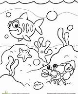 Coloring Sea Under Pages Ocean Color Kids Life Preschool Drawing Colouring Clipart Sheets Fish Disney Printable Animal Education Books Getdrawings sketch template