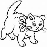 Cat Coloring Pages Printable Getcolorings Funny sketch template
