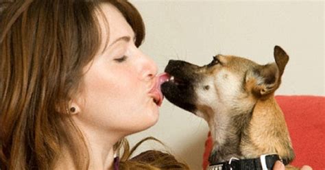sick  kissing  dog doglopedix