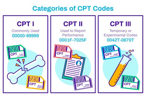 complete guide  current procedural terminology cpt codes       work