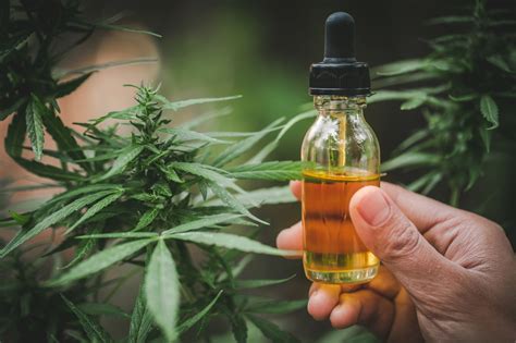 cbd tinctures 5 things every consumer should know