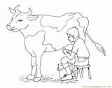 Cow Milking Cows Krowa Kolorowanki Stool sketch template