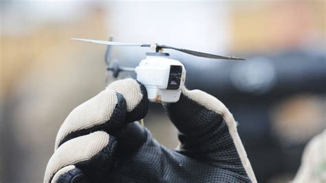 insect sized dragonfly drones  urban warfare   mn uk tech projects rt uk news
