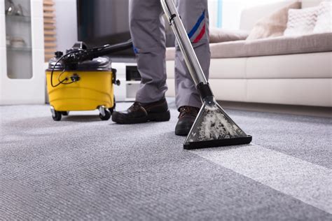 type  professional carpet cleaning shine