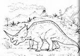 Styracosaurus Centrosaurus Lambe Kleurplaat Dinosaurus sketch template