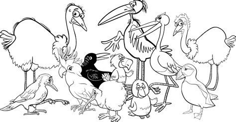 birds group coloring book character coloring cartoon vector character