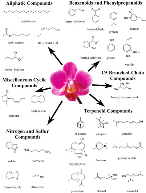 examples of the chemical structures of some common floral