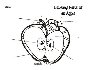 labeling parts   apple  palmetto state primary tpt