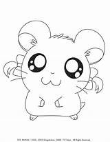 Hamster Hamtaro sketch template