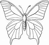 Mariposas Kupu Colorear Mewarnai Butterfly Cantik Bersayap Lebar Hewan Bunga Outlines Beterbangan sketch template