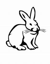 Hare Colorat Iepure Planse Desene Iepuri Animale Hares Domestice Iepurasi Designlooter Iepurele Colouring sketch template