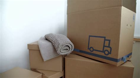 move concept unpacking cardboard boxes in a new office stock video