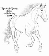 Lineart Connemara Horses Stallion sketch template