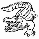 Crocodile Drawing Outline Clipart Getdrawings sketch template