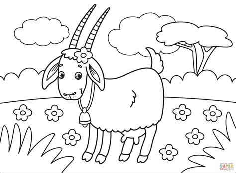 goat coloring page  printable coloring pages