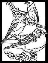 Birds Dover Coloring Publications Glass Stained Pages Bird Book Drawing Favorite Soffer Drawings Welcome Bluebird Eastern Adult Books Kids Ruth sketch template