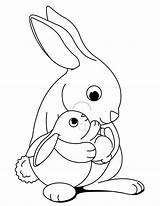 Bunny Coloring Rabbit Drawing Comments Pages sketch template