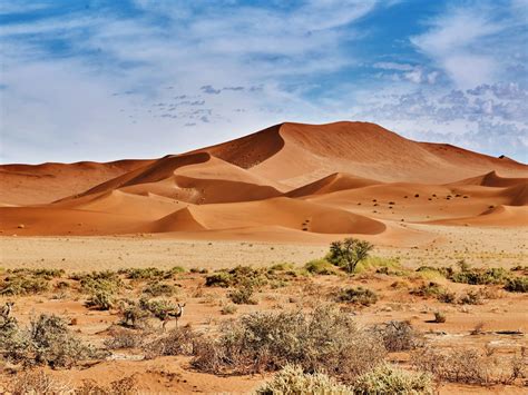 desert du namib le  vieux desert du monde namibie en liberte
