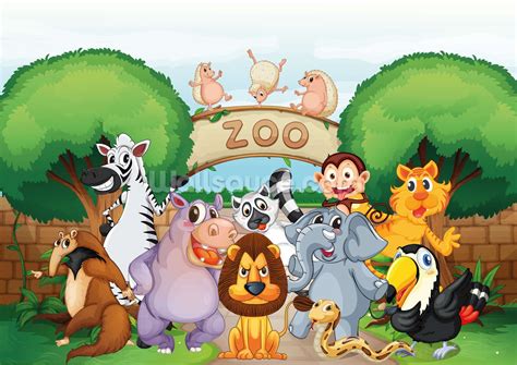zoo animals cartoon png