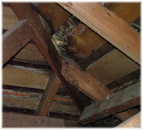 leaking roof repairs   build  house