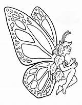Fairy Coloring Pages Male Butterfly Sheets Colouring Color Boy Choose Board Kids Leaves Adult sketch template