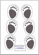 Footprint Koala Footprints sketch template