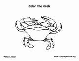 Coloring Crab Blue sketch template