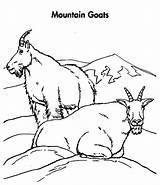 Mountain Goat Coloring Pages Couple Drawings Color sketch template