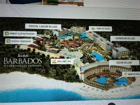 Website Has Managed To Eradicate The Turtle Beach Resort Staff
