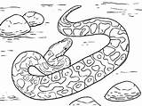 Coloring Snake Pages Anaconda Viper Rattlesnake Dodge Scary Ninjago Color Diamondback Colouring Snakes Printable Getcolorings Animal Sheet Sheets Getdrawings Colorings sketch template