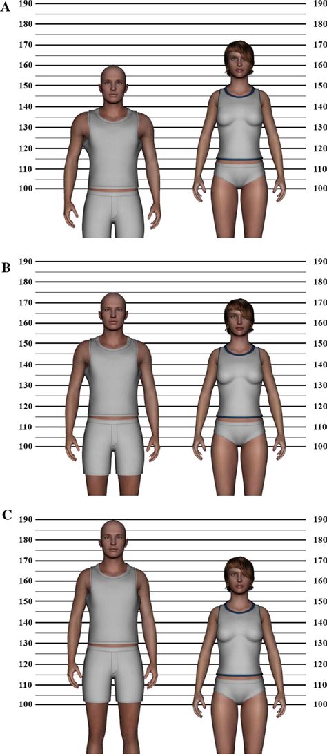 stimuli   study    male stimulus   height