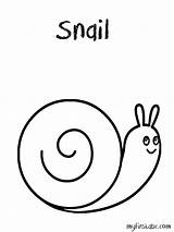 Snail Coloring Drawing Shell Sea Pages Snails Getdrawings Getcolorings Popular sketch template