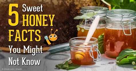 honey facts top nutrition tips