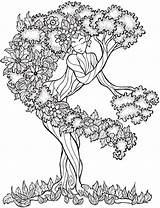African Coloring Pages Trees Tree Getcolorings Color sketch template